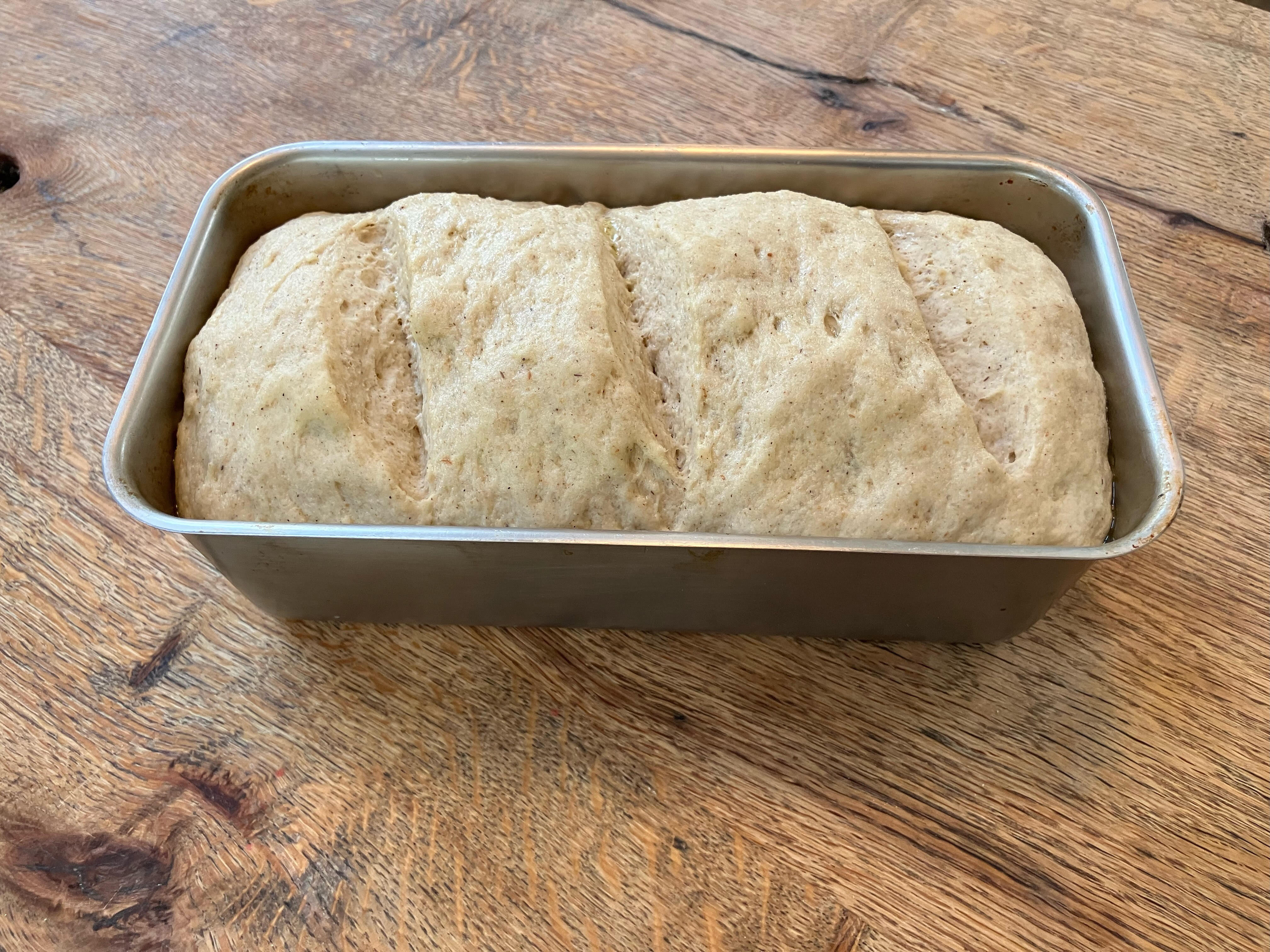 Proofed Bread in pan